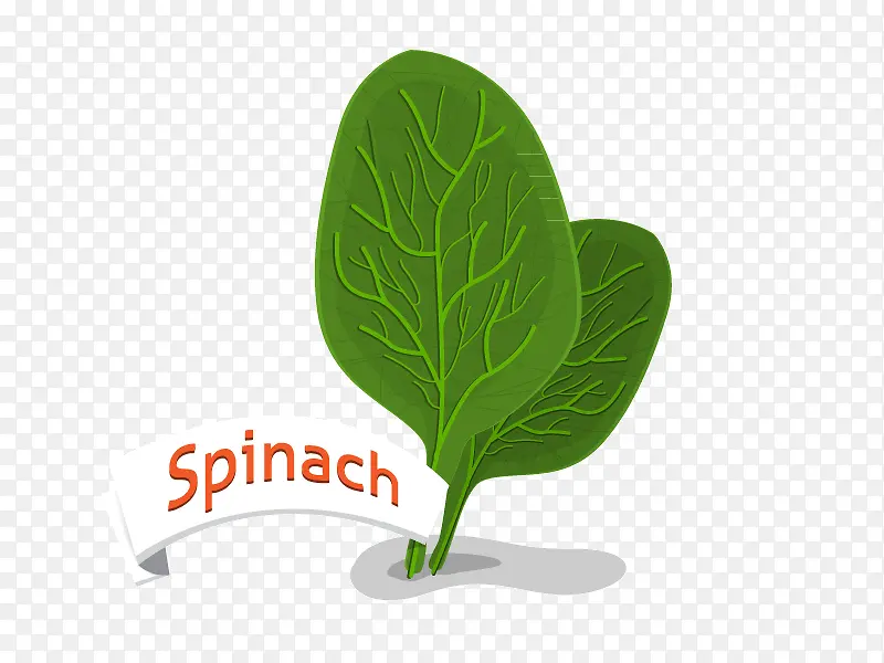 ��Ҷ�߲˿�ͨʸ���ز�-������