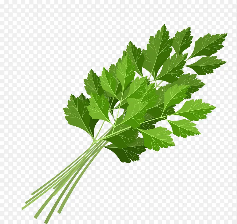 ʸ���۲�Ҷ��-������