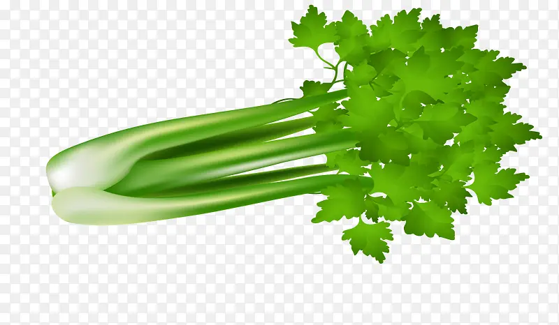 ʸ���۲�Ҷ��-������