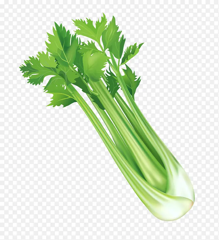 ʸ���۲�Ҷ��-������