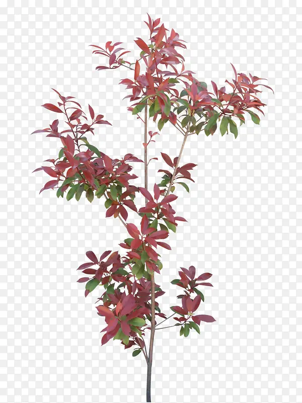 ��������ɫ����-������