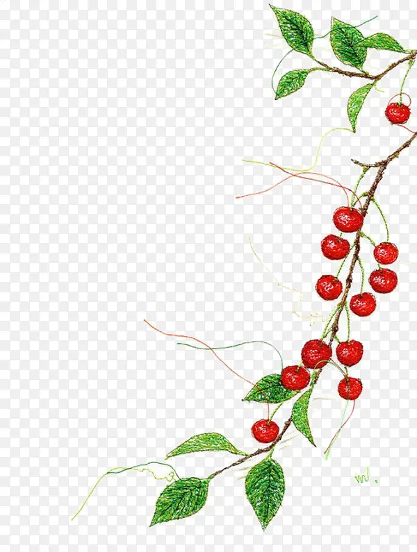 �ֻ���֦-������