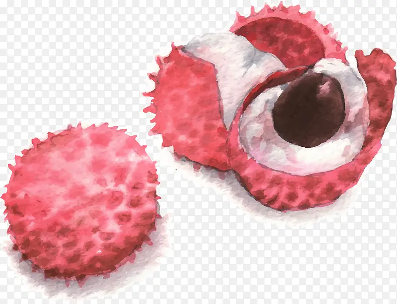 ˮ�ʻ���֦ʸ���ز�-������