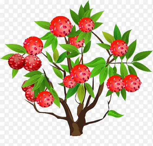 ��֦��-������