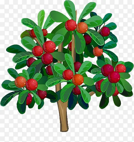 ��֦��-������