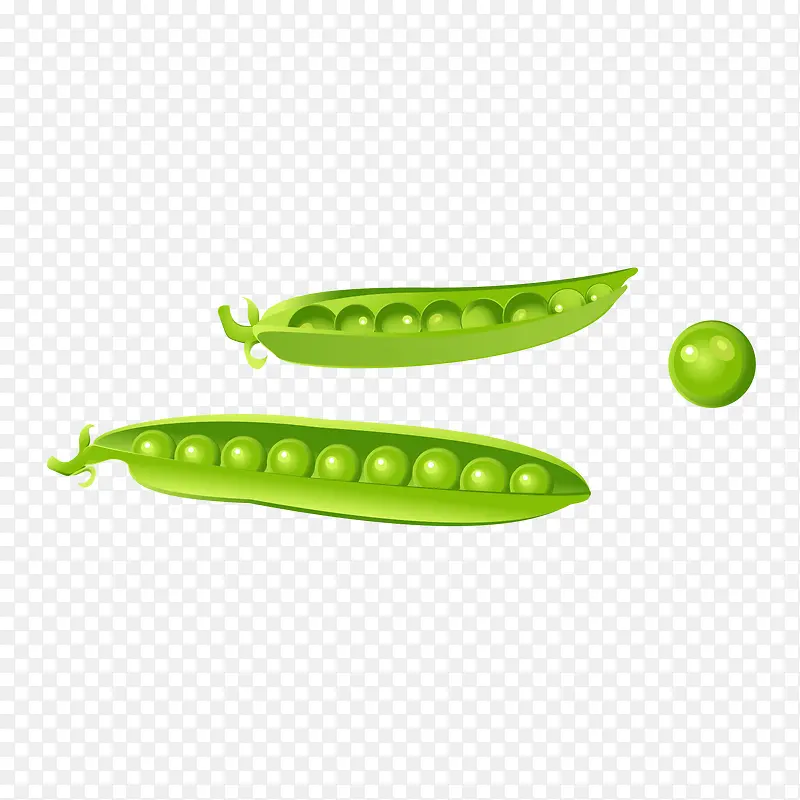 �����߲˶���-������