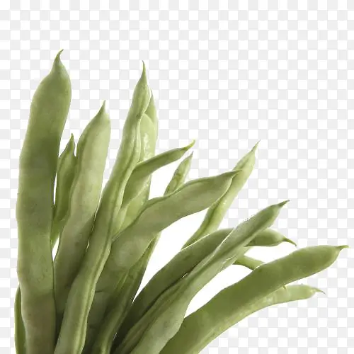 ��ɫ�߲˶���-������