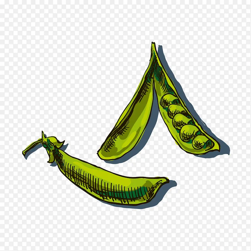 �ֻ��㶹-������