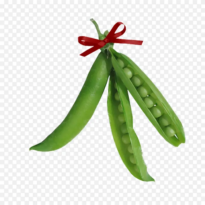 �㶹-������