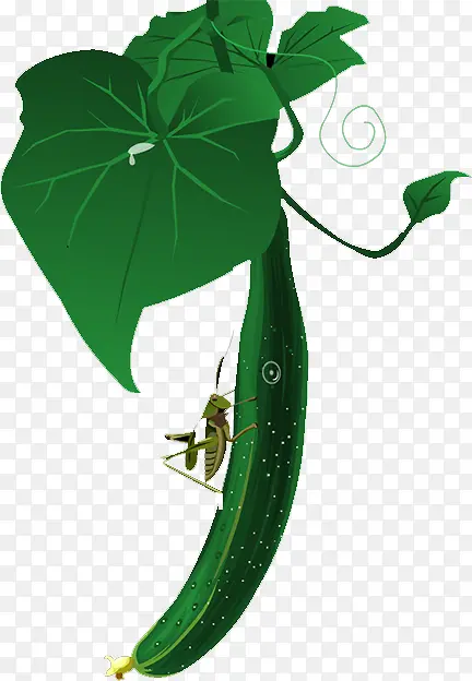 �ƹ�-������