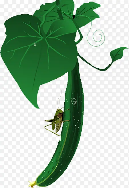 �ƹ�-������