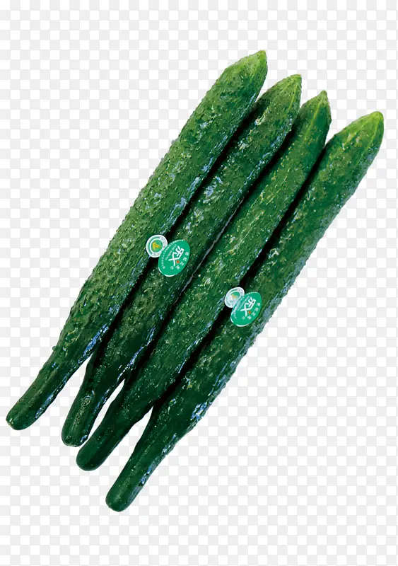 һ�ѻƹ��߲�-������