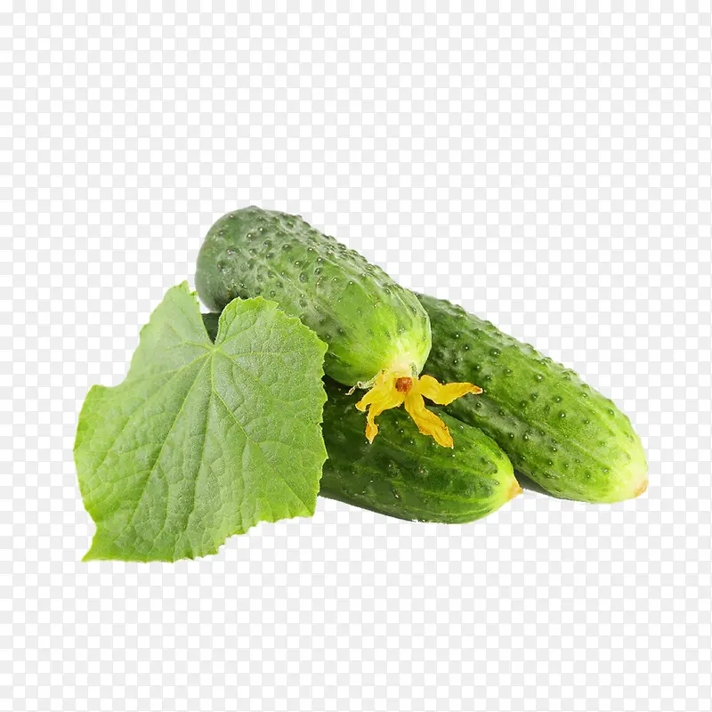 �ƹ�-������