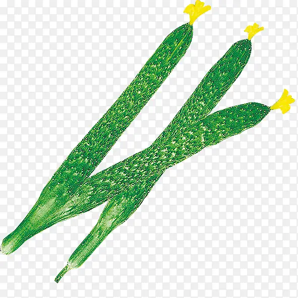 �ƹ�-������