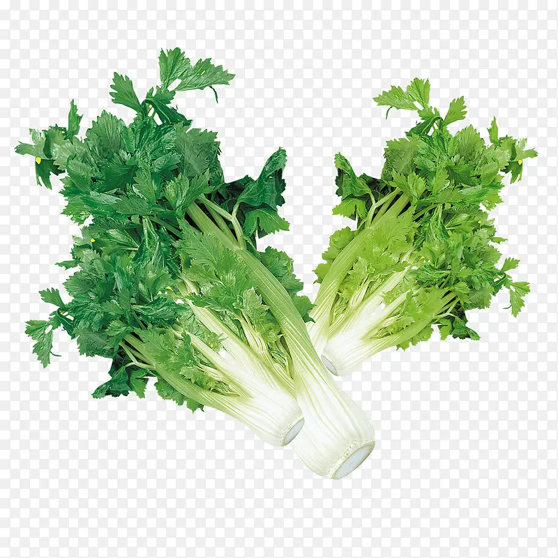 �۲�-������