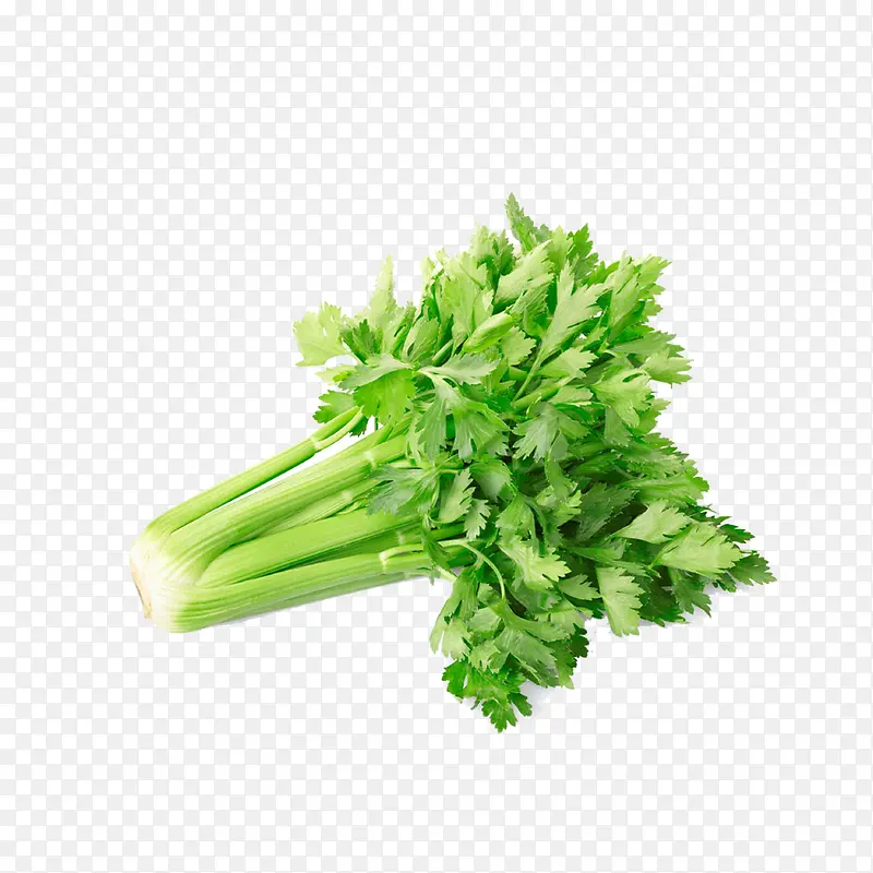 �۲�-������