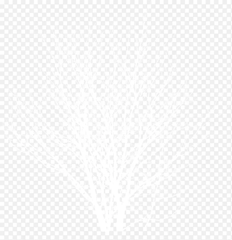 ������֦ʥ��������-������