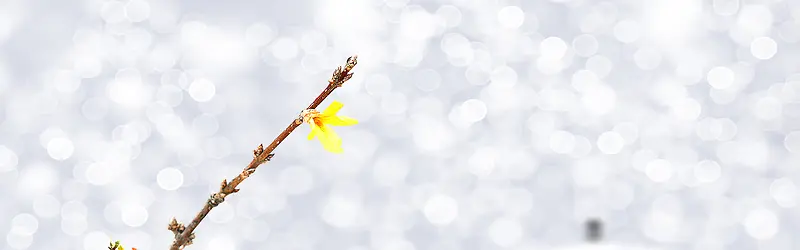 ʥ���ڱ���-������