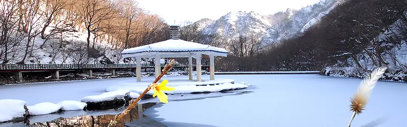 ʥ���ڱ���-������