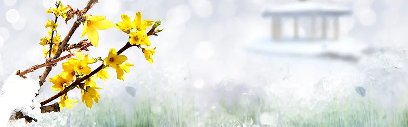 ʥ���ڱ���-������