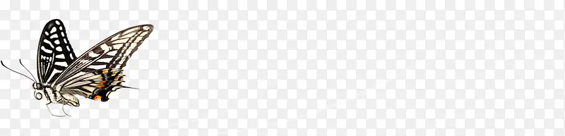 ���������������-������