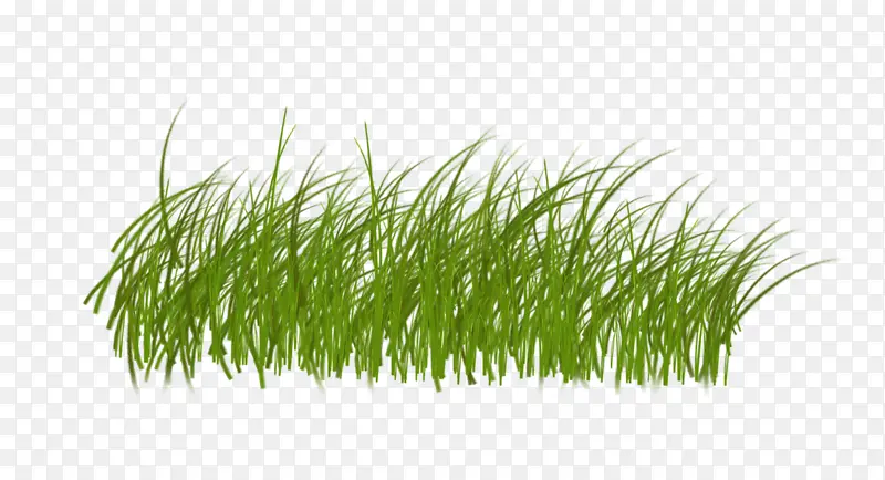 һƬ�̲�͸��png-������