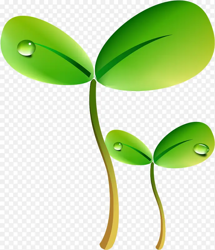 ��ɫ��ѿ-������