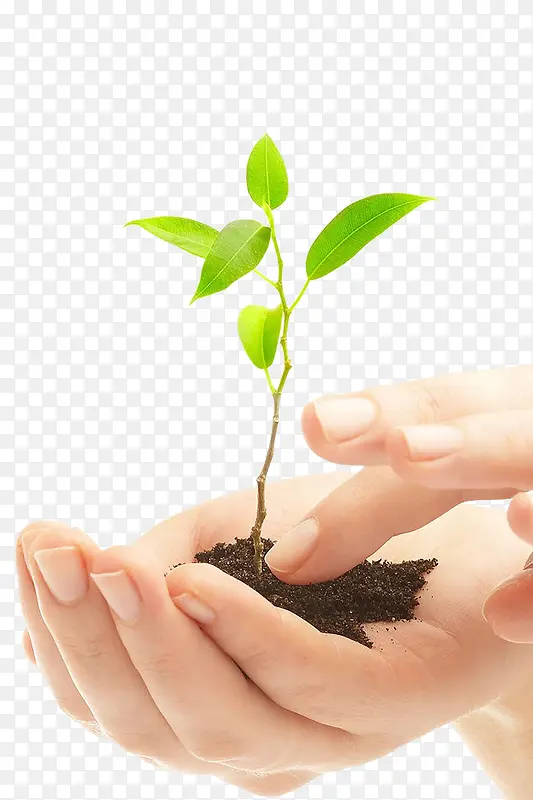 �ֲ�����-������