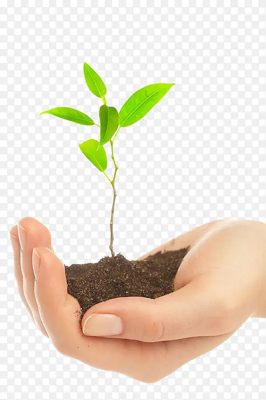 �ֲ�����-������