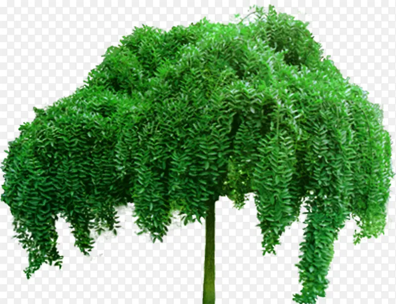 ����������Ч����ͼ-������