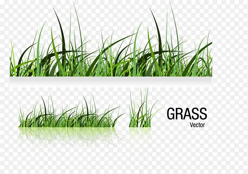 ʸ���̲�-������