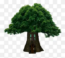 ��������-������