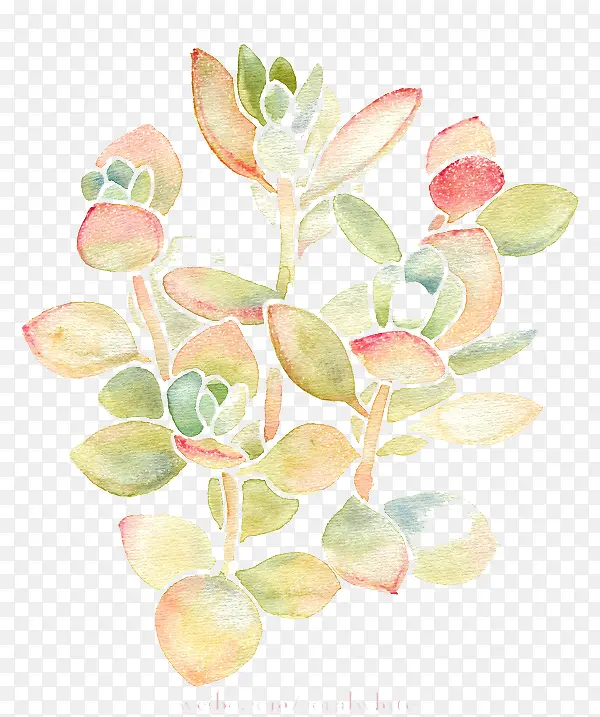 ˮ�ʶ���-������