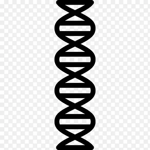 DNA ͼ��-������