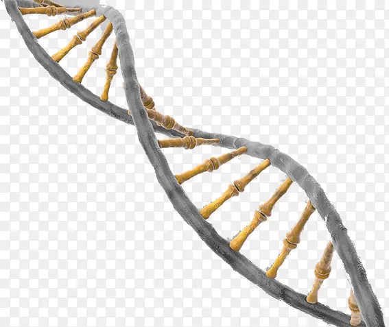 ����Ƽ�-������