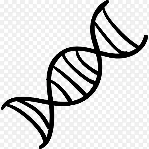 DNA��ͼ��-������