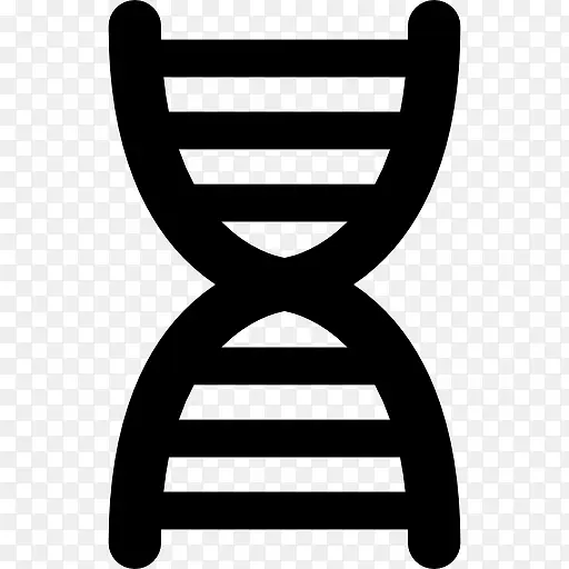 DNA ͼ��-������