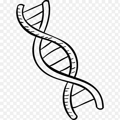 DNA ͼ��-������
