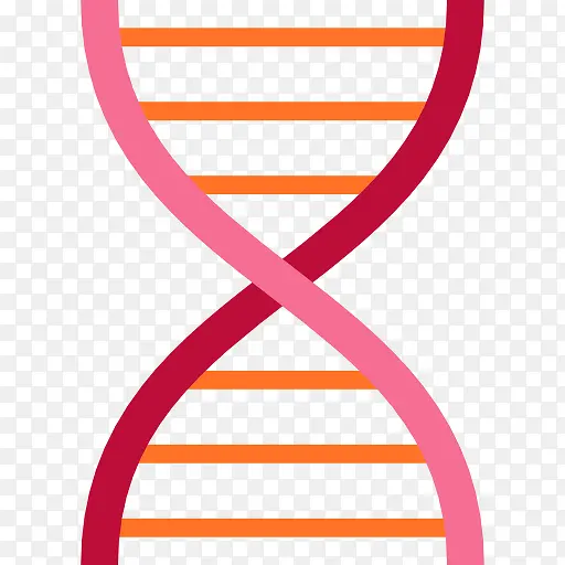 DNA�ṹͼ��-������