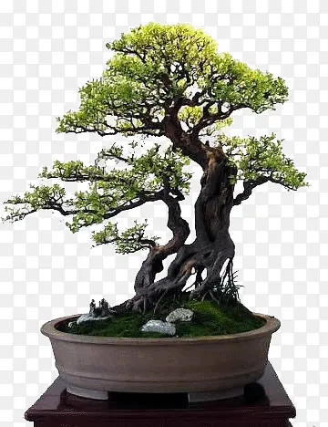 �����ķ羰��-������