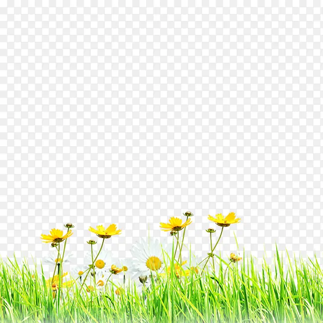 ��ɫ�����̲�-������