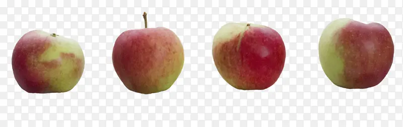 ƻ��png�ز�-������