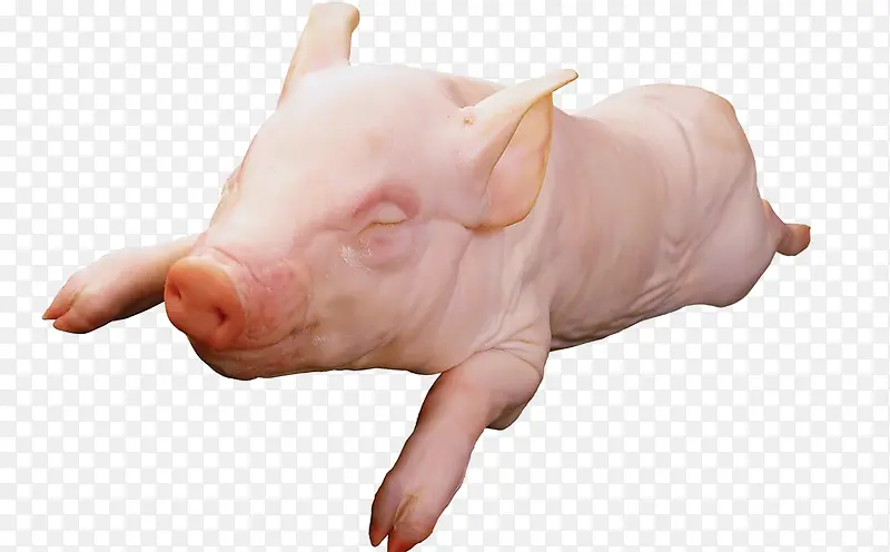 ʳ������-������