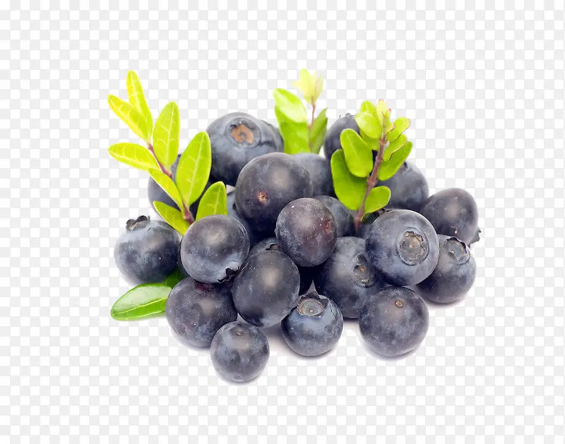 ˮ���ڼ���Ҷ��-������