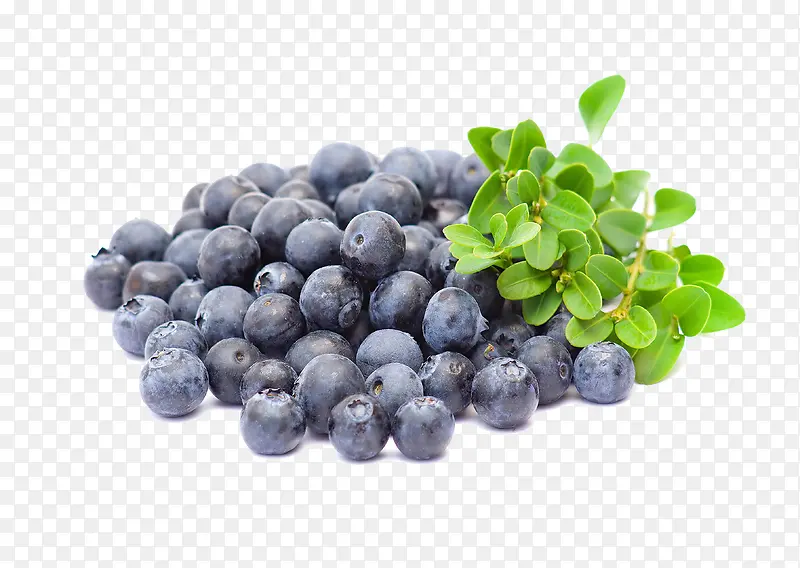 �ڼ���ˮ����Ҷ-������