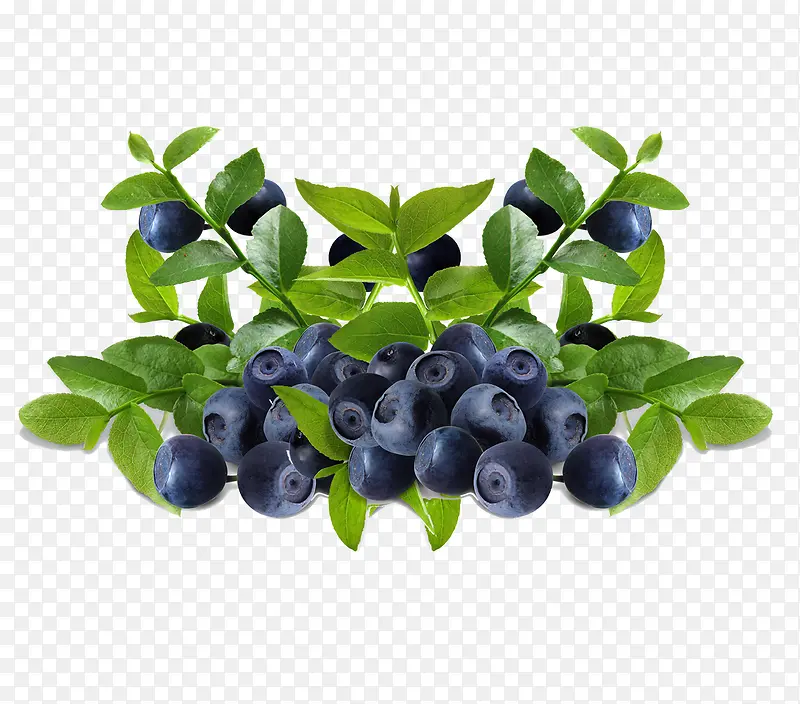 �ڼ���ˮ��-������