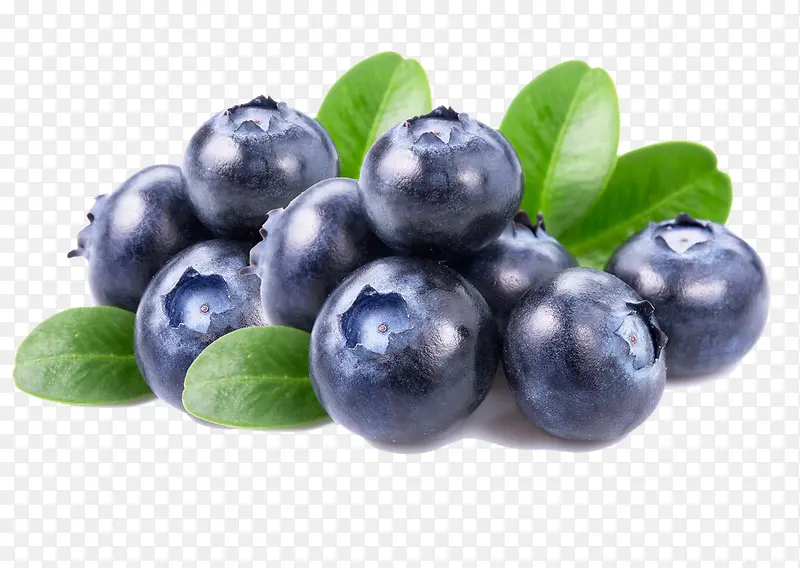 �ڼ���ˮ��Ҷ��-������