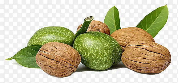 ���ɺ���-������