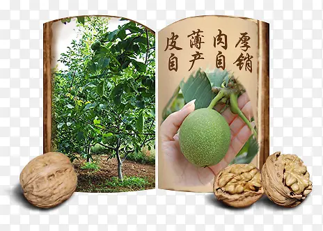 ������-������