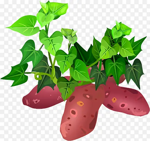 ����-������